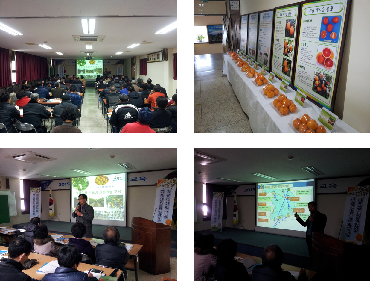 새해 농업인 실용교육 (노지감귤 재배기술, 만감류 재배기술 - 2015. 01. 28)